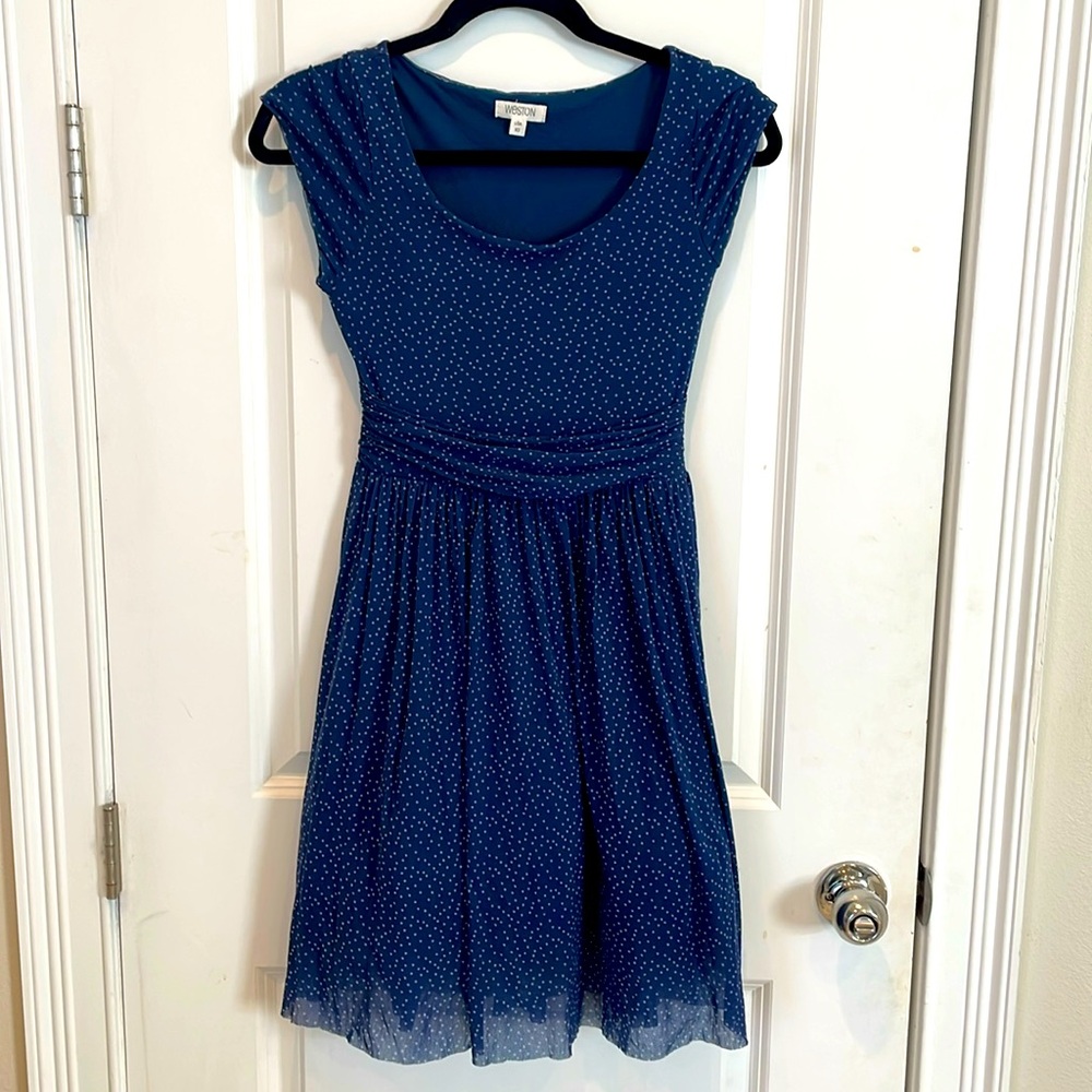 Cute balletcore Weston wear anthropologie dress size XS